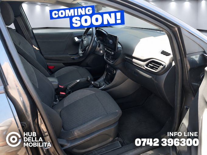 FORD Puma 1.0 EcoBoost Hybrid 125 CV S&S Titanium